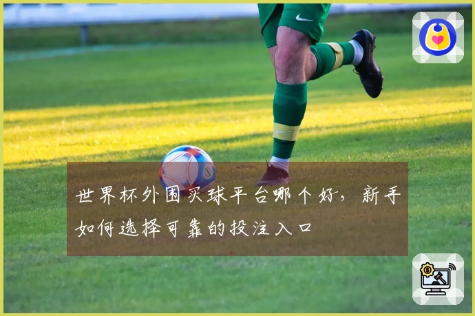 世界杯外围买球平台哪个好，新手如何选择可靠的投注入口