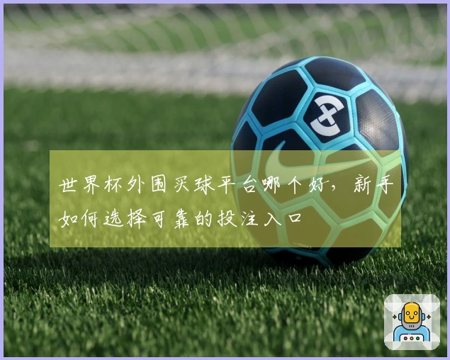 世界杯外围买球平台哪个好，新手如何选择可靠的投注入口