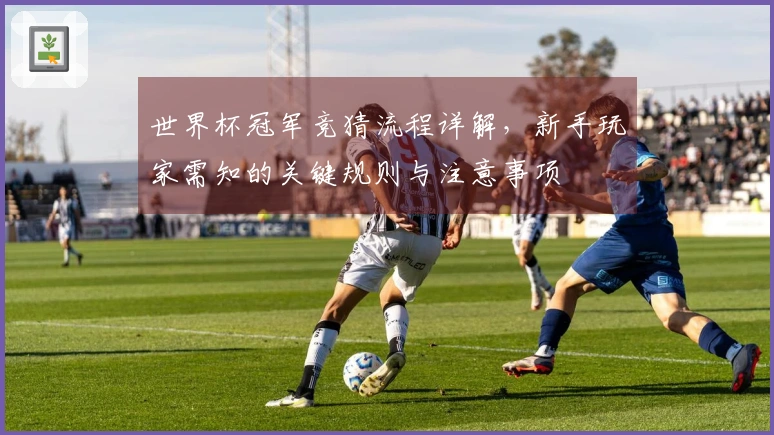世界杯冠军竞猜流程详解，新手玩家需知的关键规则与注意事项