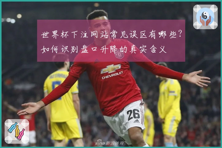 世界杯下注网站常见误区有哪些？如何识别盘口升降的真实含义